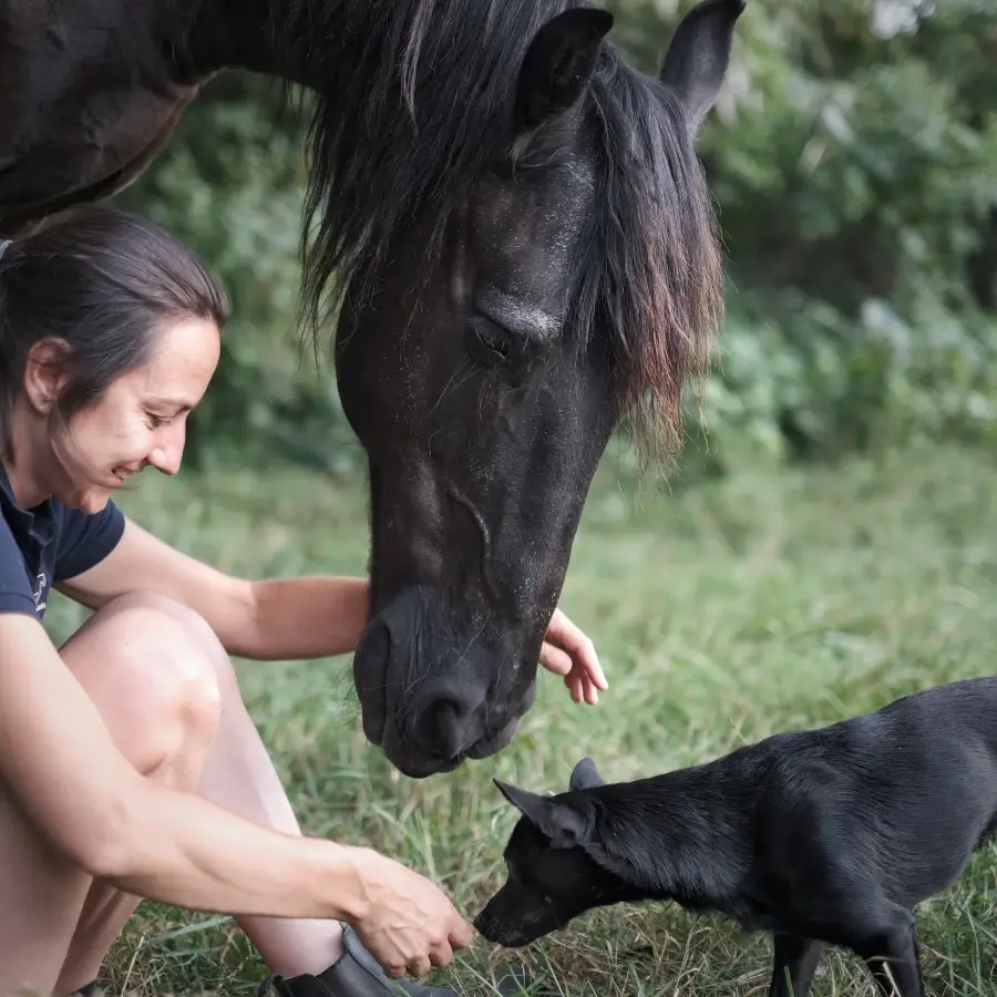 Agata Bereś certyfikowanym Terapeuta Metody Mastersona