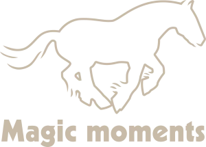 Terapia Manualna Koni Metodą Mastersona