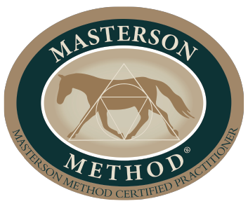 Metoda Mastersona manualna terapia koni